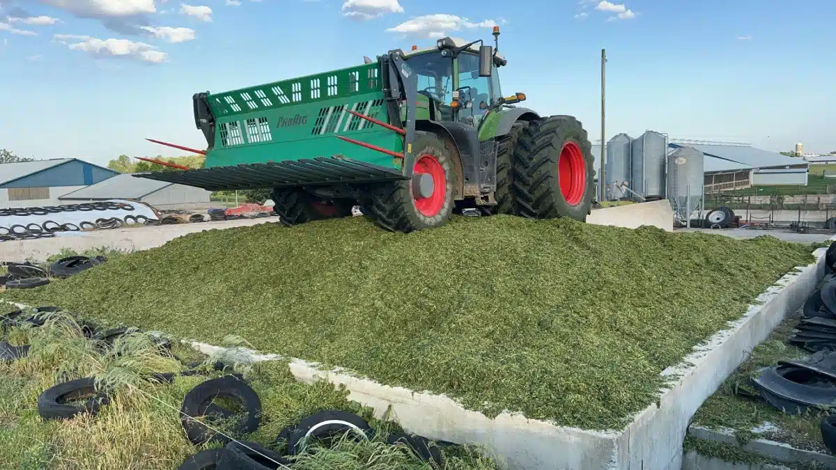 Gallery image 2 for 2024 ProDig 14 ft Push off 3 Point Fork