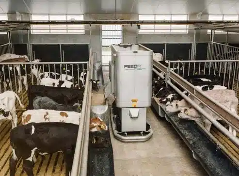 Gallery image 2 for Sieplo FEEDR Feeding Robot Feeder