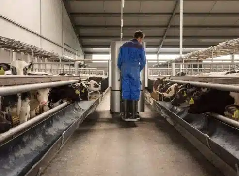 Gallery image 2 for Sieplo Mix Dosing Feed Wagon