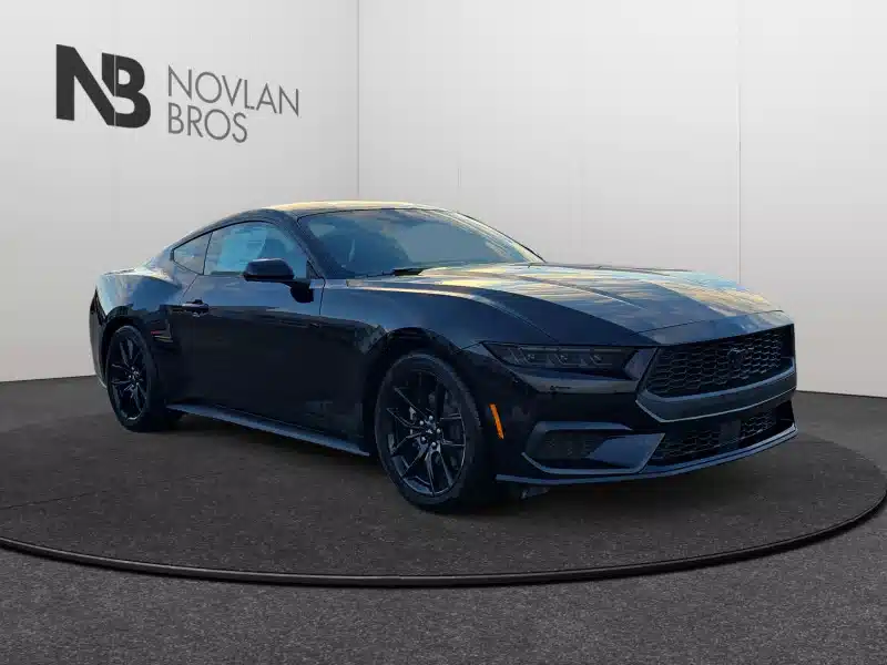 Gallery image 2 for New 2025 Ford Mustang Car