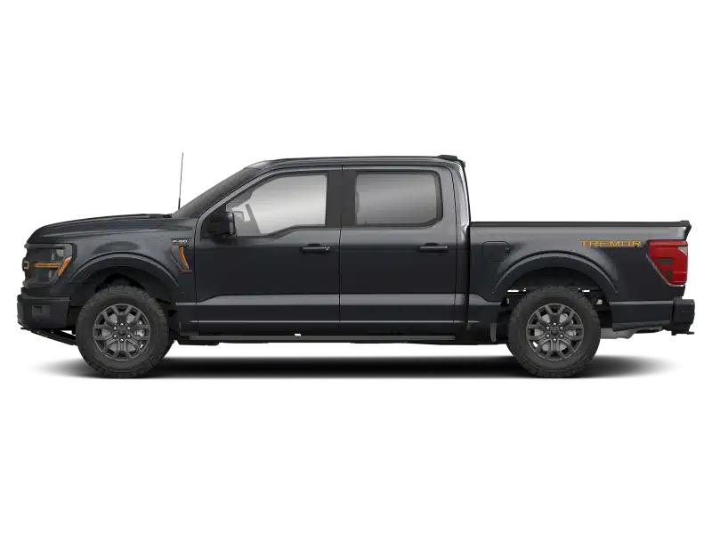 New 2025 Ford F-150 Truck - Pickup