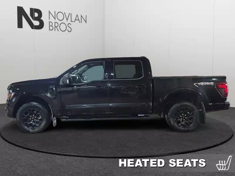 Gallery image 2 for 2024 Ford F-150 Truck - Pickup