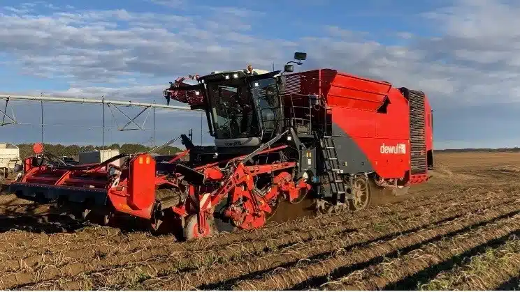 dewulf Kwatro Potato Harvester