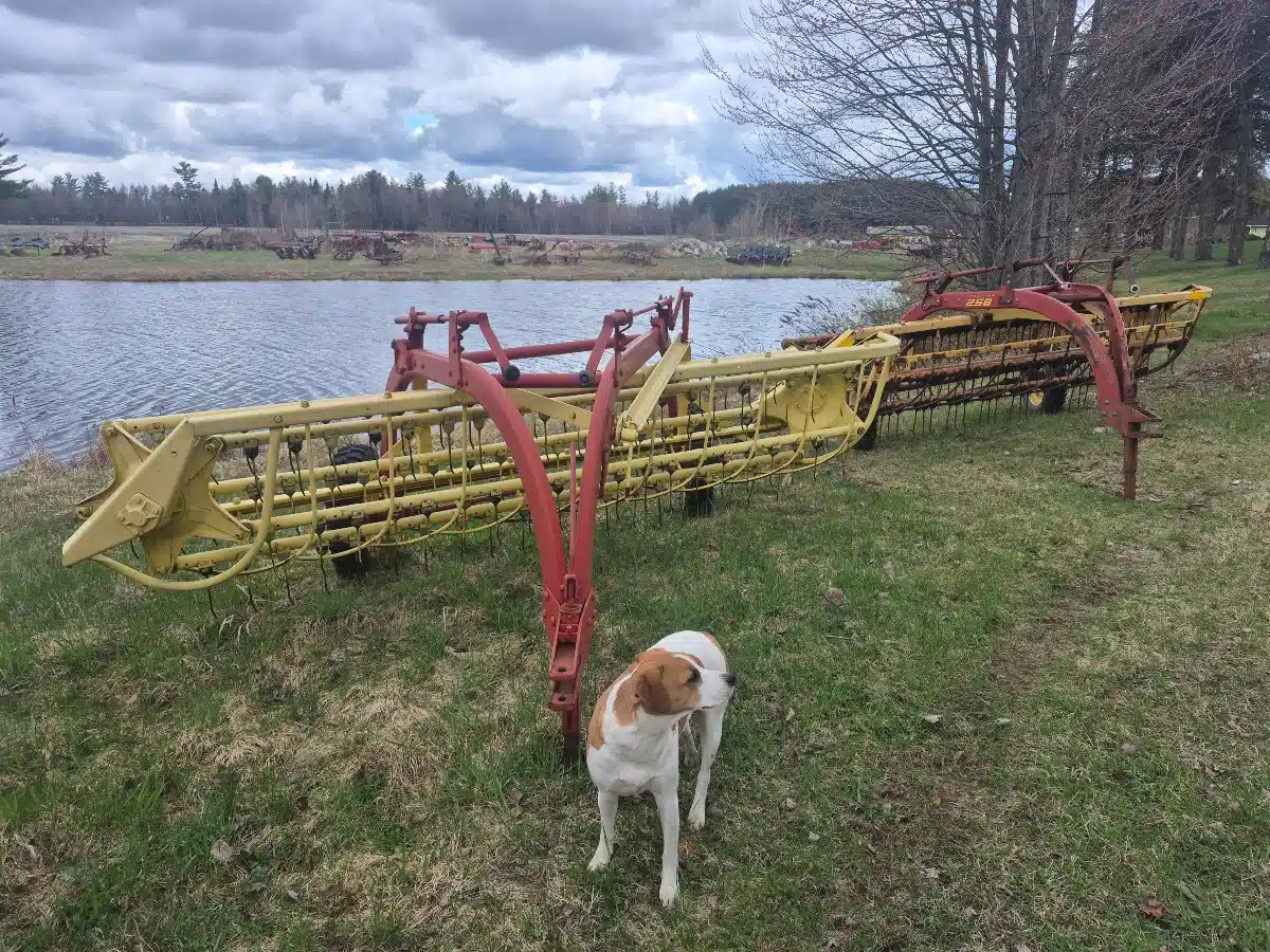 Gallery image 1 for New Holland 258 Rake