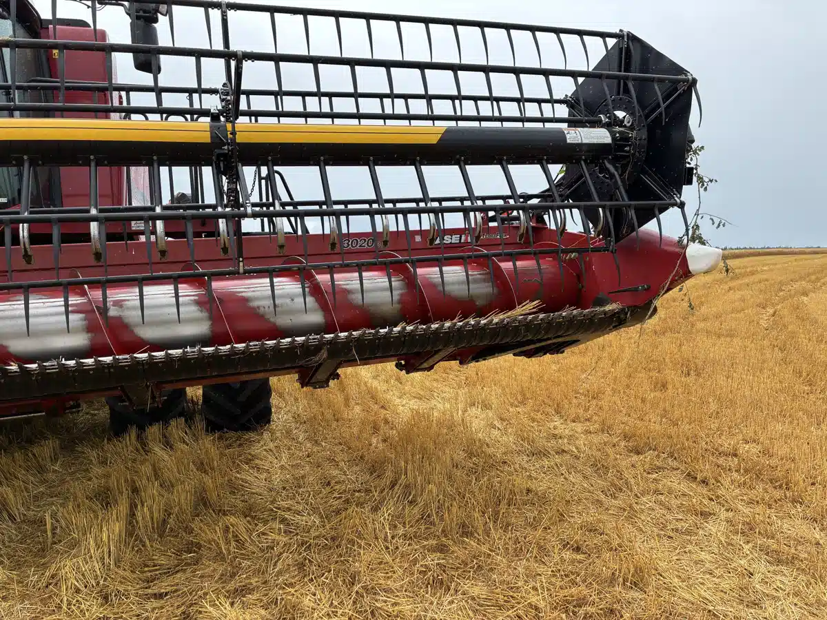 Gallery image 1 for 2017 Case IH 3020 Header - Flex