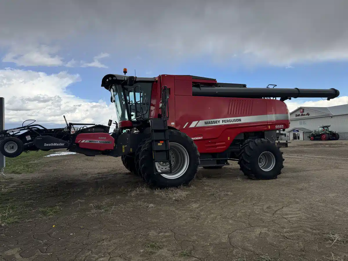 Photo de la Galerie 2 pour 2017 Massey Ferguson 9565 Batteuse