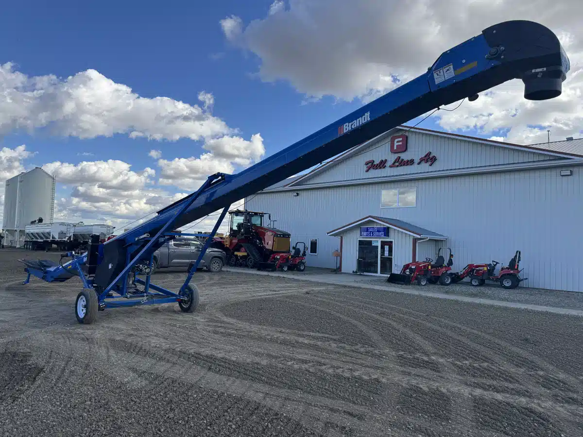 Photo de la Galerie 2 pour 2018 Brandt 1547 Vis à grain