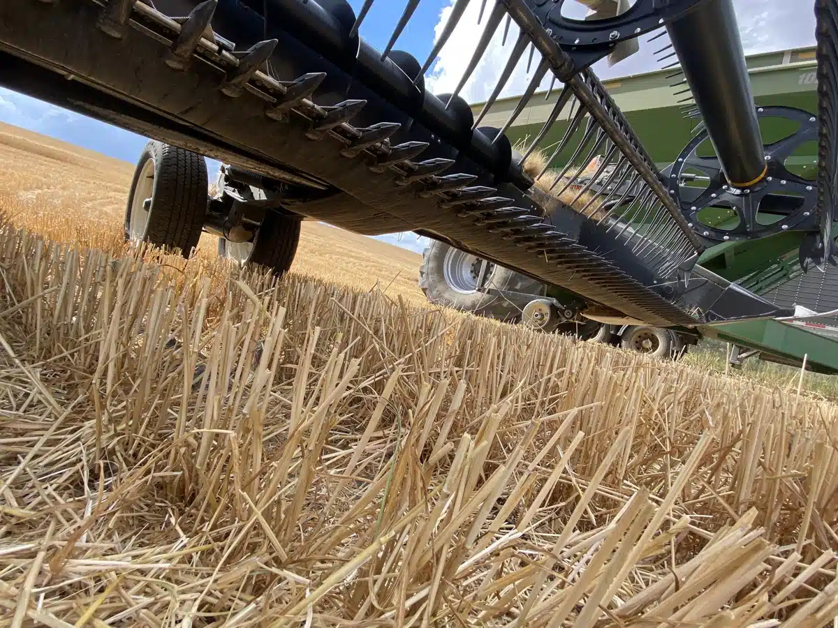 Gallery image 2 for Used 2020 MacDon FD145 Header - Flex Draper