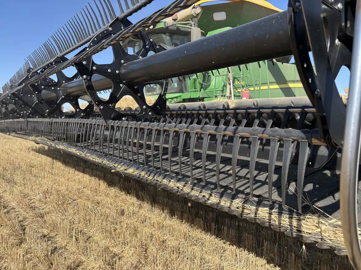 Gallery image 1 for 2020 MacDon FD140 Header - Flex Draper
