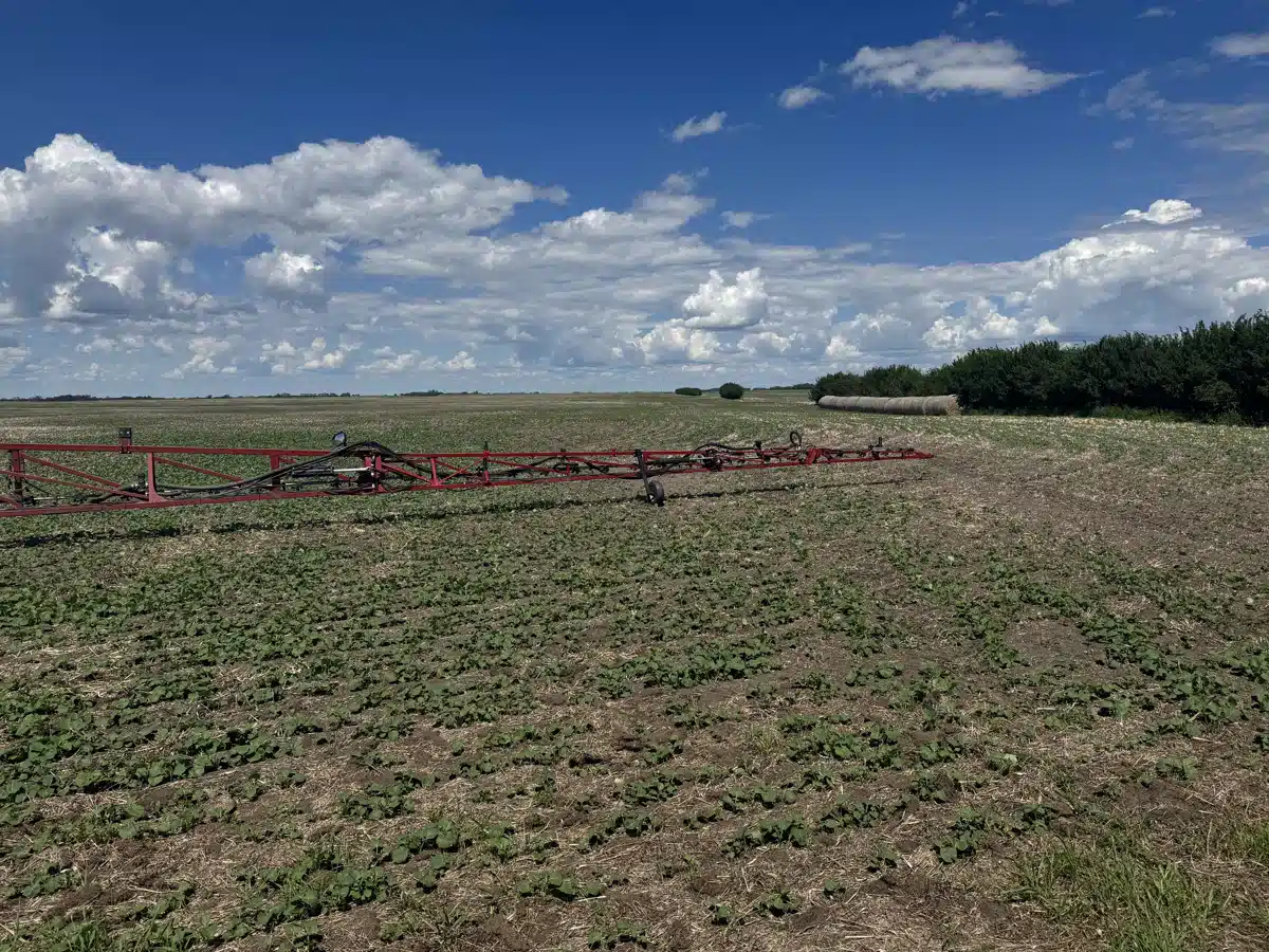 Gallery image 2 for 2015 Case IH PATRIOT 3340 Sprayer - Self Propelled