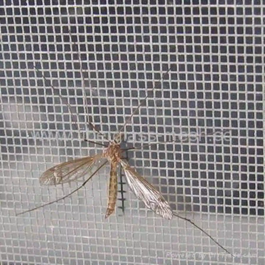 Gallery image 2 for Unspecified 9x300 Miscellaneous