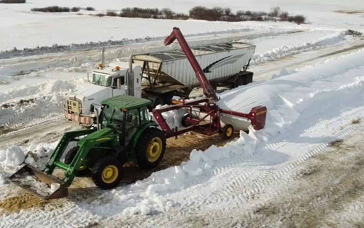 Gallery image 2 for New 2023 Arc Alloy Pro Grain E-1610 Grain Extractor