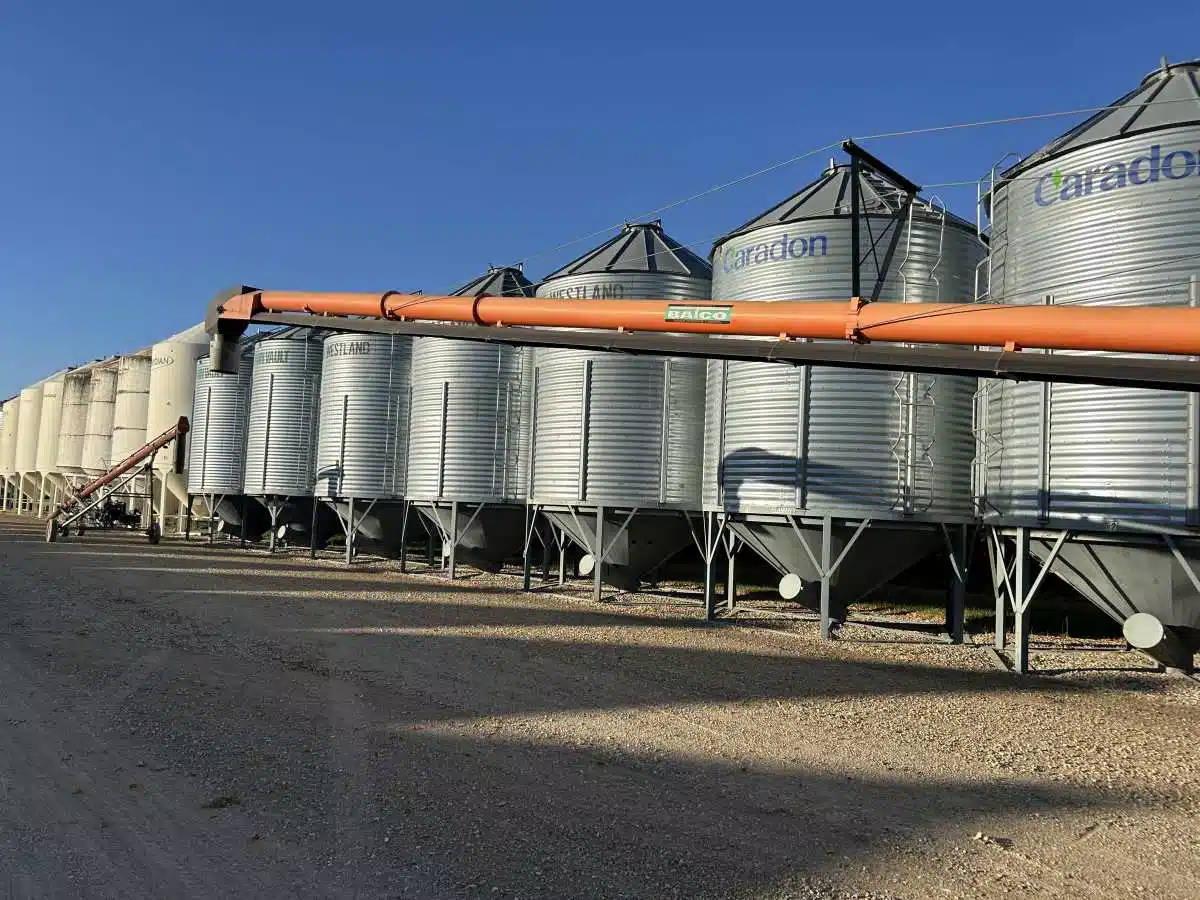 Used 2009 Batco 1590SD FMD Grain Auger
