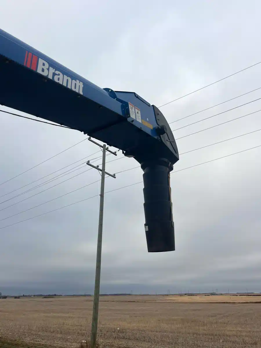 Photo de la Galerie 2 pour 2022 Brandt 1547 Vis à grain