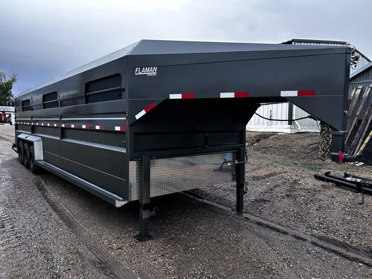 Photo de la Galerie 1 pour 2026 Norberts Trailers STG Remorque à chevaux