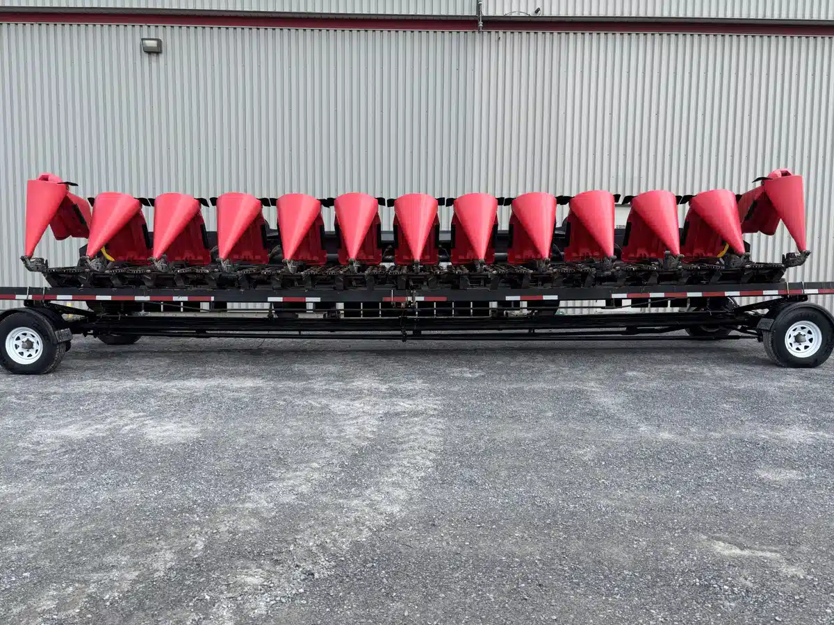 Photo de la Galerie 2 pour 2016 Capello DIAMANT HS1230 Nez - Maïs