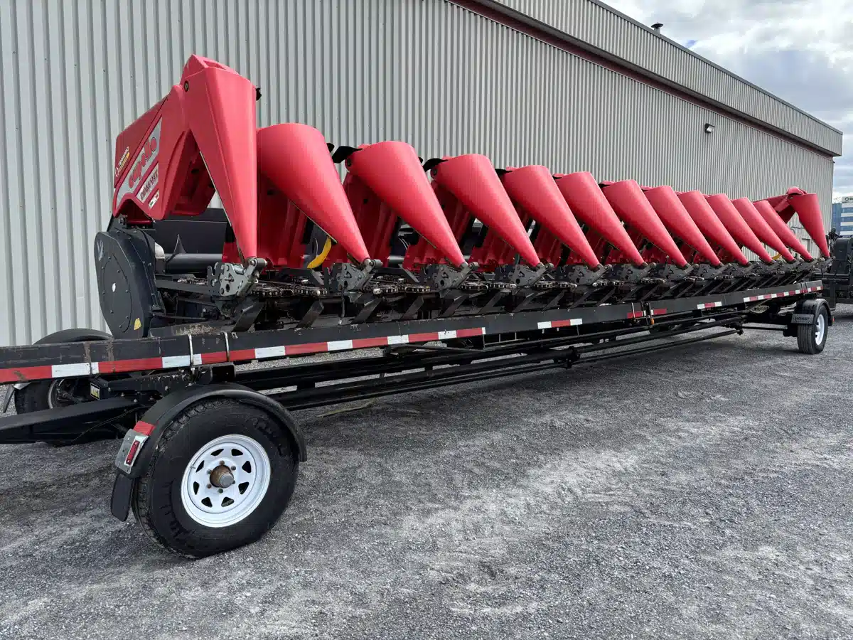 Photo de la Galerie 1 pour 2016 Capello DIAMANT HS1230 Nez - Maïs