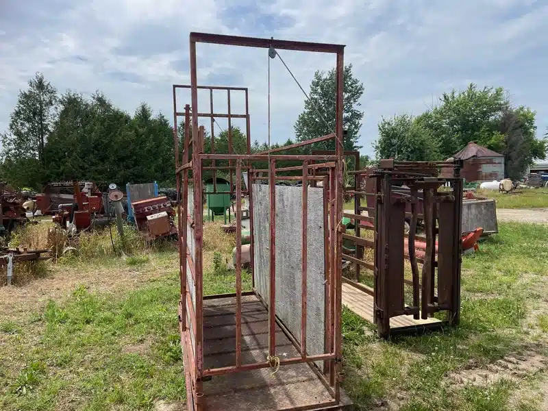 Gallery image 2 for Scale Chute Cattle Squeeze