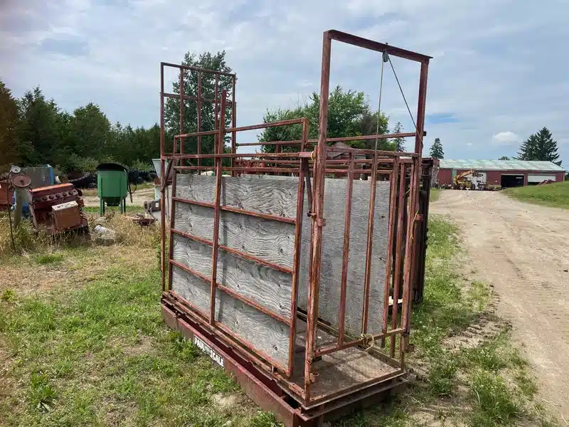 Gallery image 1 for Scale Chute Cattle Squeeze