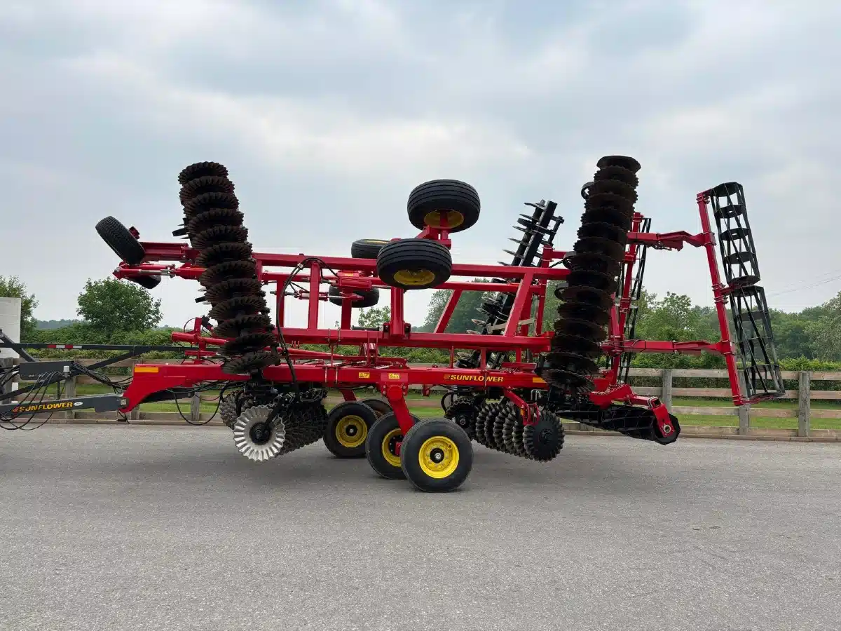 Sunflower Discs for sale in Ontario