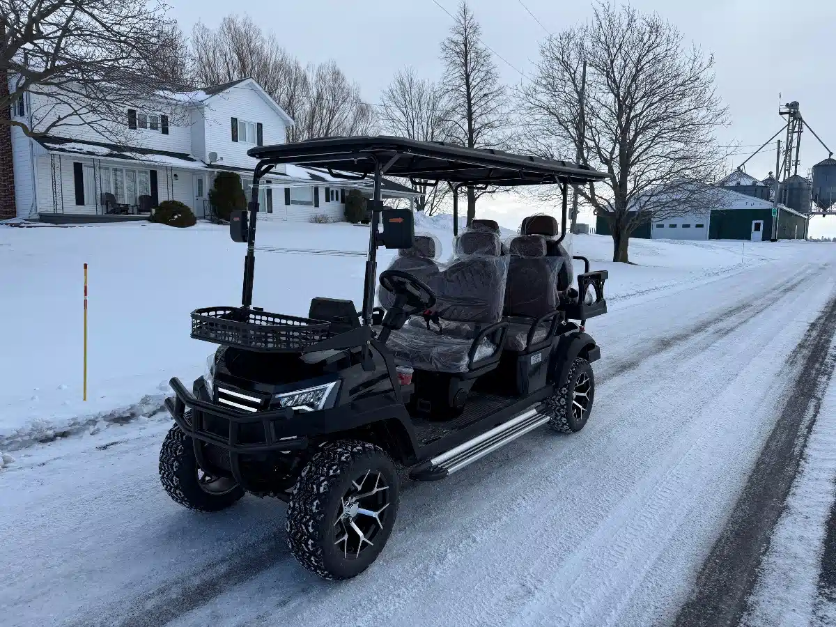 2026 SDLANCH SDLGC100 Golf Cart