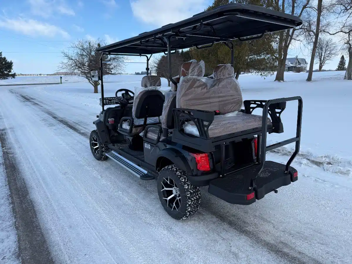 Gallery image 2 for 2026 SDLANCH SDLGC100 Golf Cart