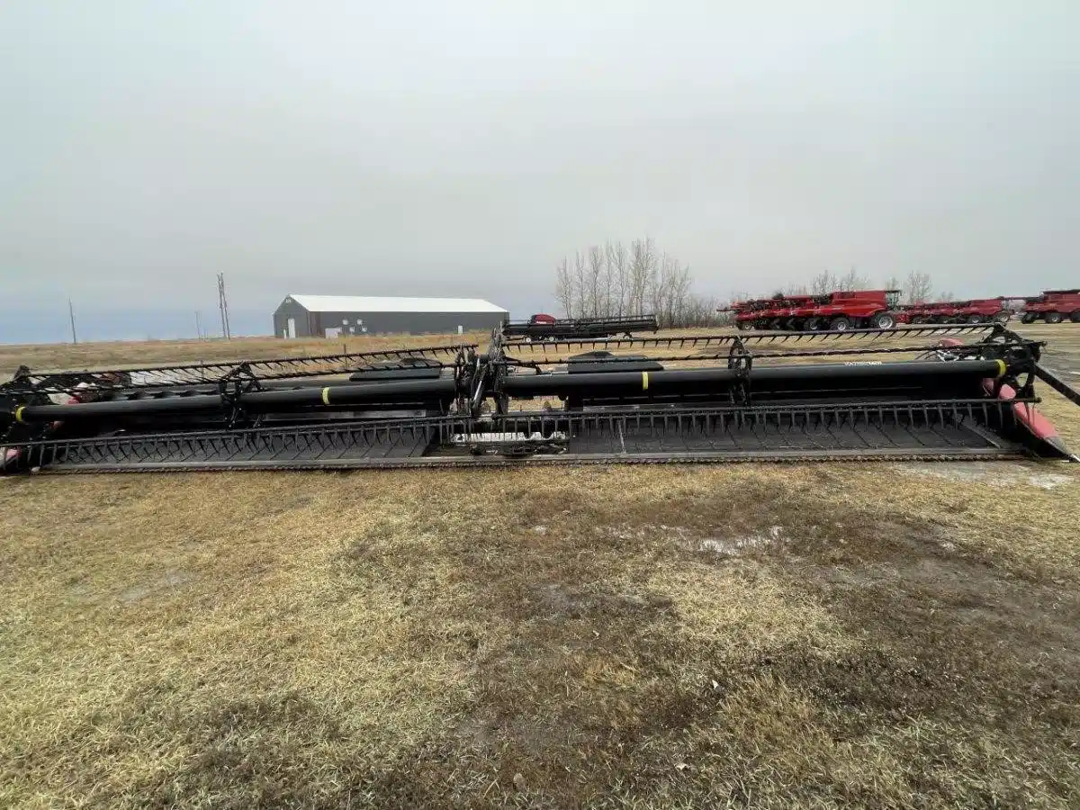 Gallery image 1 for 2008 Case IH 2162 Header - Draper