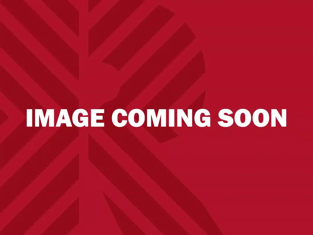 Gallery image 1 for 2026 Canuck STEP DECK Trailer - Lowbed