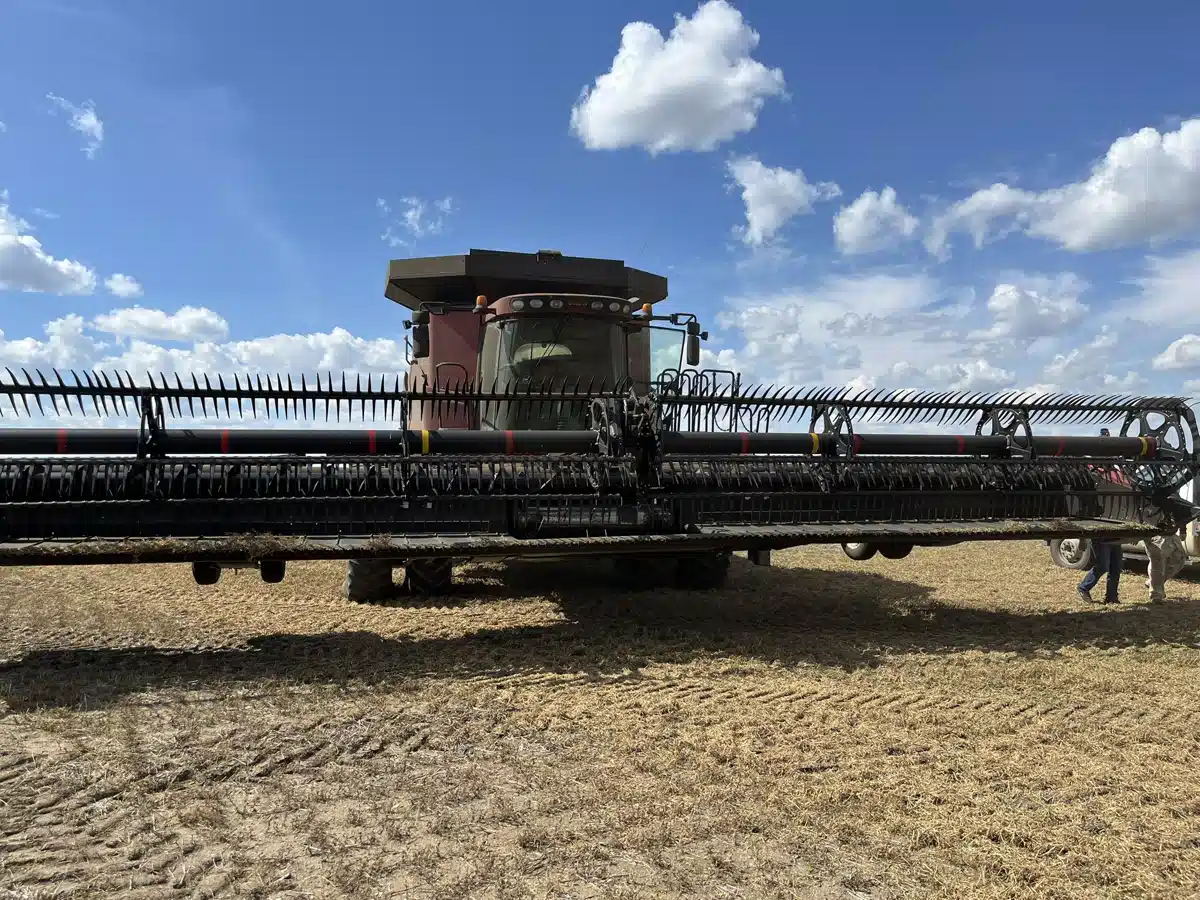 Gallery image 2 for Used 2018 MacDon FD140 Header - Flex Draper