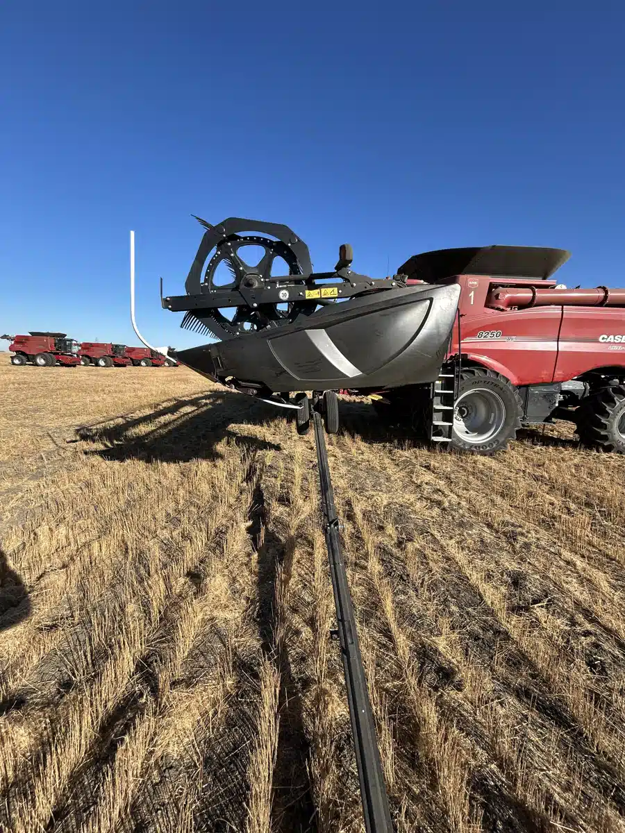 Gallery image 1 for Used 2019 MacDon FD140 Header - Flex Draper